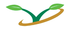 Oyaa Logo